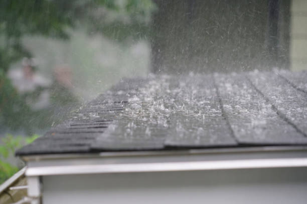 Best Flat Roofing  in South Miami, FL
