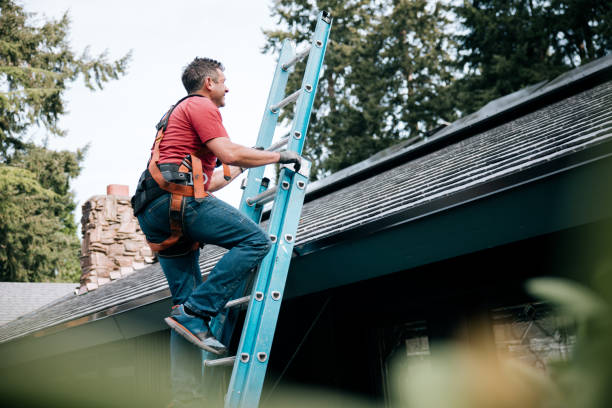 Best Sheet Metal Roofing  in South Miami, FL